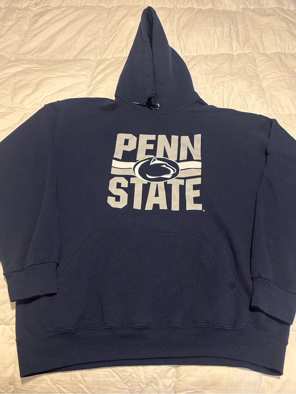 Vintage Penn State University Hoodie Size Medium on Jerzees Tag